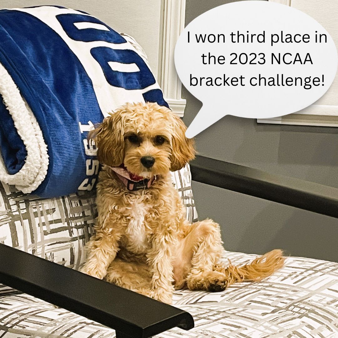 College basketball bracket fun is coming up! We hope you will join us for our MDFF bracket pool! You'll be able to create your bracket on Sunday, March 17. We will send out more information about how to join the MDFF Pool next week.