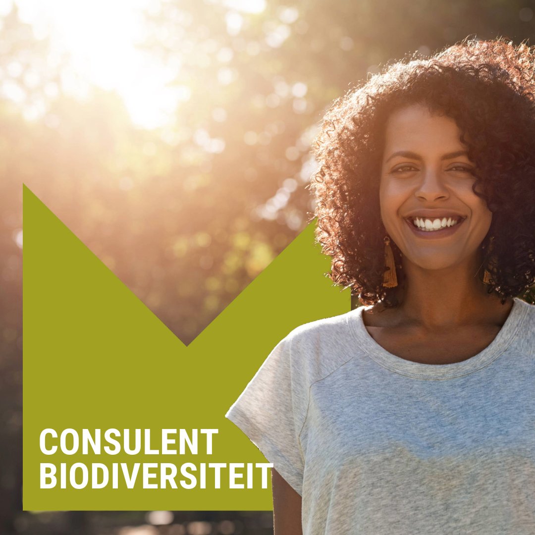 Vacature: Consulent Biodiversiteit Zet je vakkennis om in stedelijke acties, Versterk het beheer van het openbaar domein, Geef advies en reik concrete instrumenten aan. Wil je actief bijdragen aan biodiversiteit? Solliciteer voor 22.03 mechelen.be/vacature/consu…