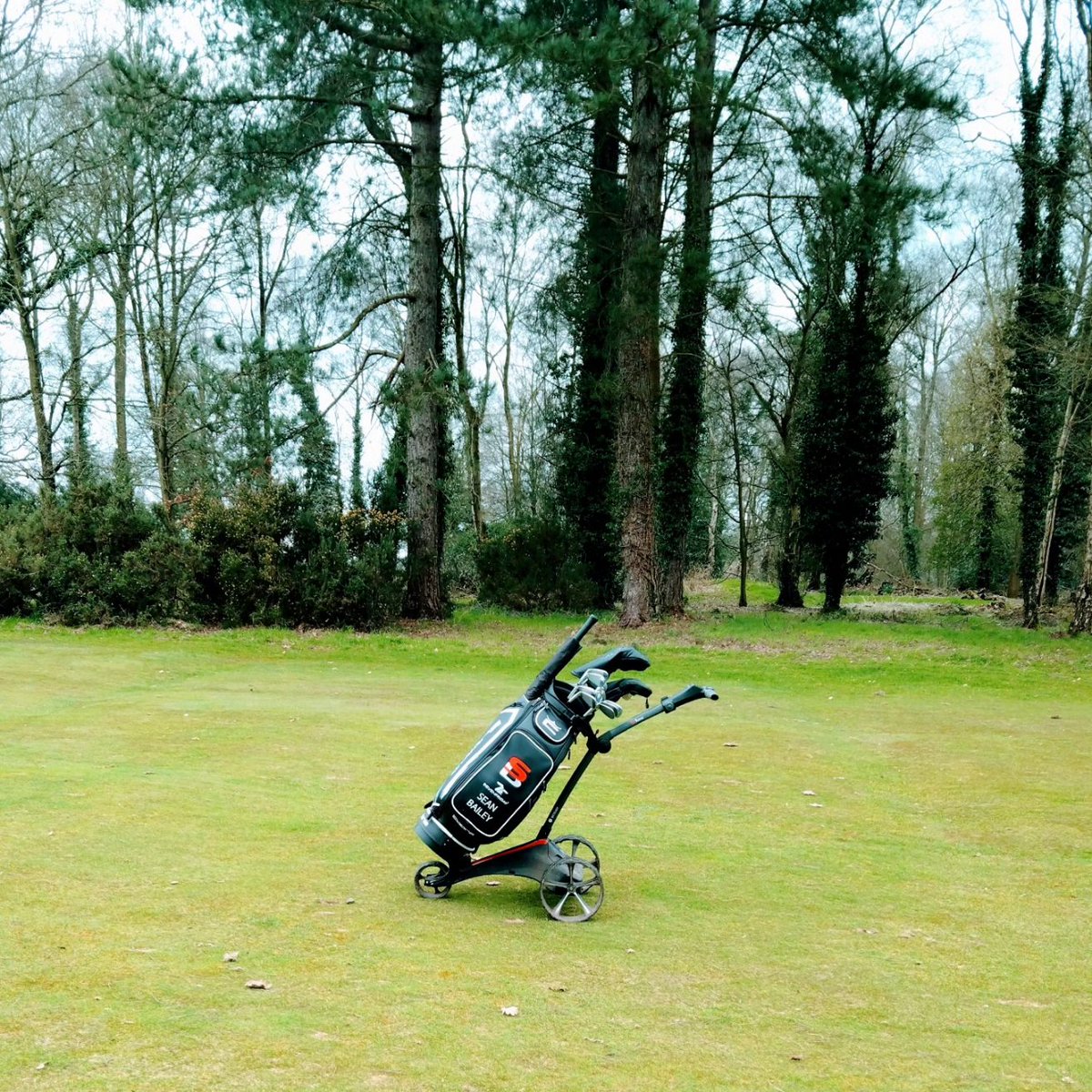 Sean Bailey tweet media