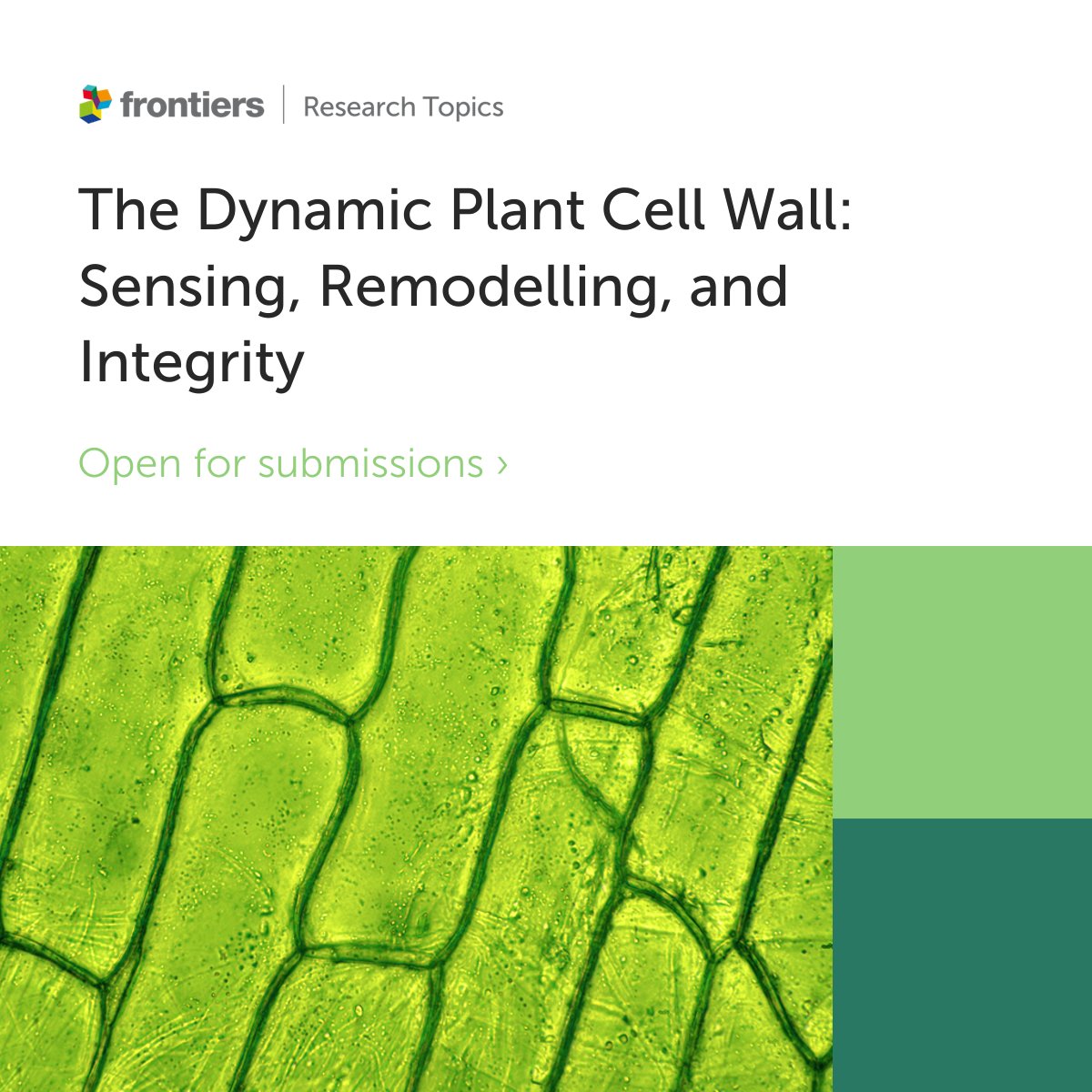 🌱📣 We are pleased to host a new collection titled, 'The Dynamic Plant Cell Wall'! Confirm your participation in this Research Topic today - fro.ntiers.in/ATuo