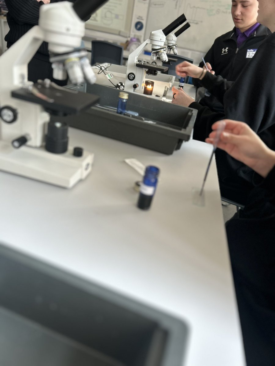 Georgia Wilde tweet media