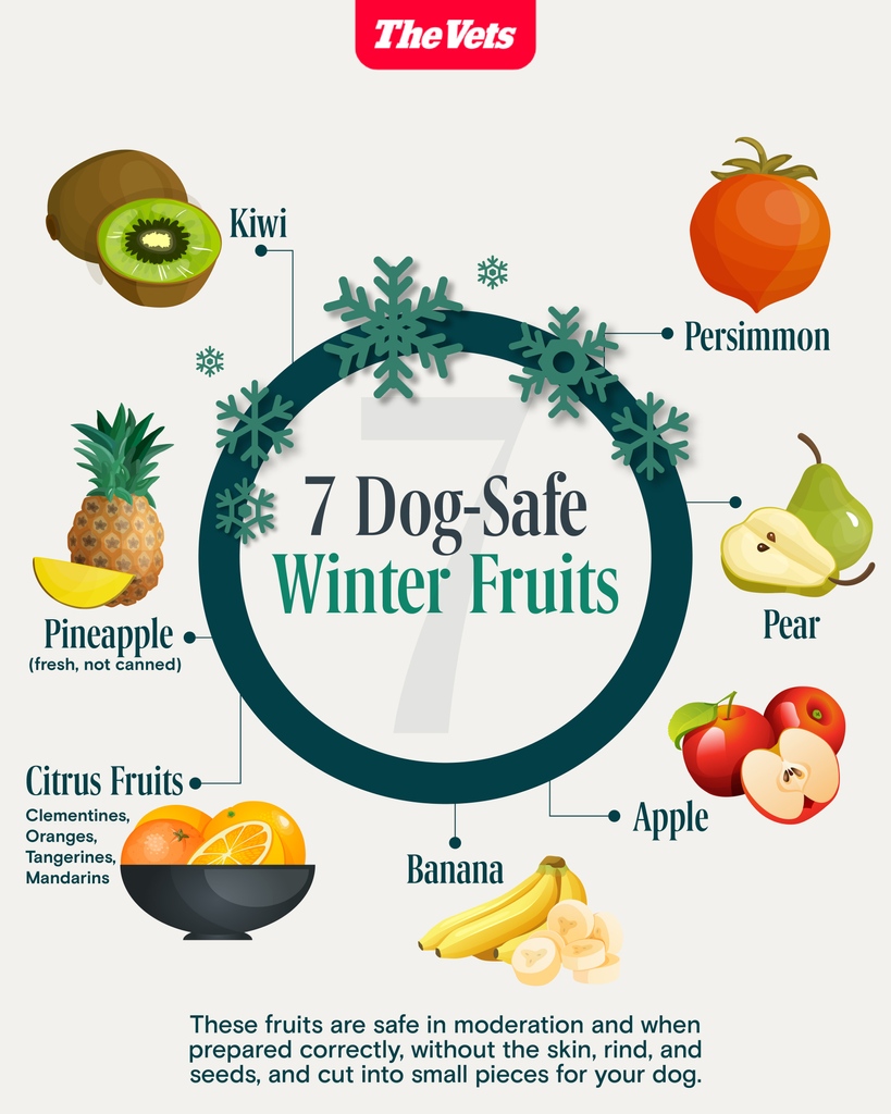 Winter snacking, but make it dog-friendly! 🐾⁠
Remember, moderation is key – always feed in small amounts!