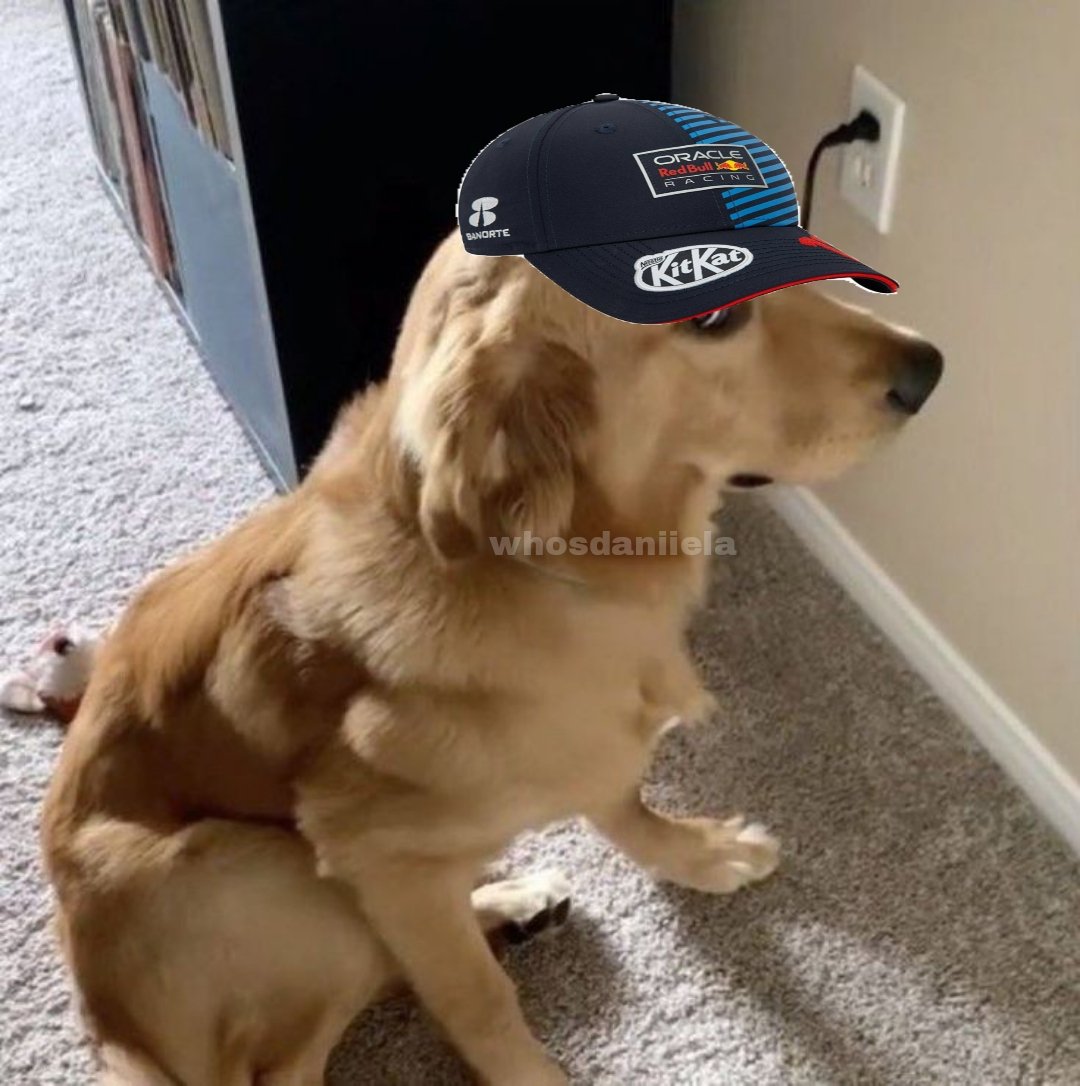 whosdaniiela's tweet photo. Yo fingiendo que no le presto atención a la qualy para que Checo se ponga en P1 😭 https://t.co/mOOHsSl1w1