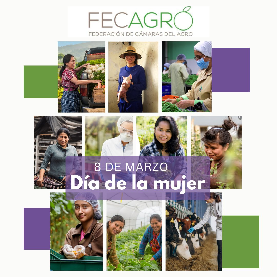 Celebramos los logros de las mujeres en el sector agropecuario y agroindustrial. Las mujeres rurales son fundamentales para la seguridad alimentaria y el desarrollo sostenible de la región, la producción de alimentos, generación de ingresos y el bienestar de las familias rurales.
