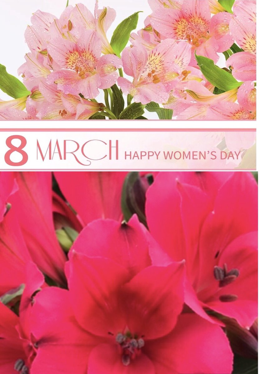 Happy Women’s Day. 
.
Feliz día de la Mujer 
.
#HappyWomensDay_2024 #DiaDeLaMujer #DiaInternacionalDeLaMujer #WomensDay2024 #Diloconflores, #alstroemeriasfloreselmoralfarm, #floreselmoralfarm #FlowersOfColombia🇨🇴#Colombiadiversitythatinspiries