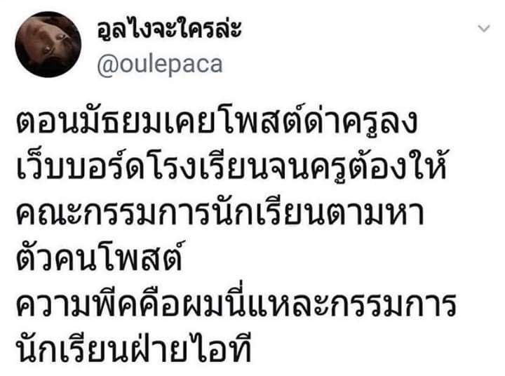 ´ˎ˗ tweet media