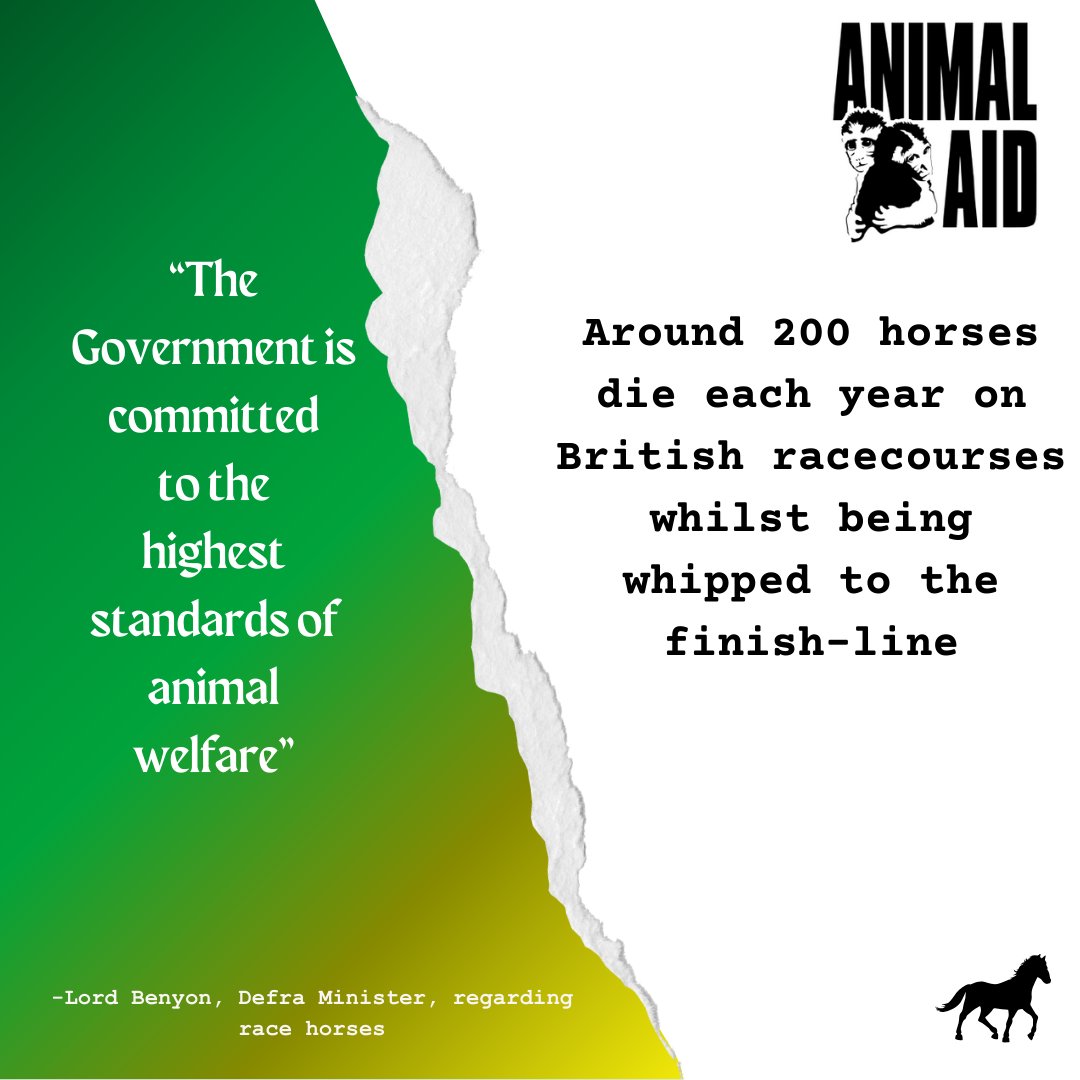 Last year, 174 horses died on British racecourses. There were 637 breaches of the whip regulations. All in the name of sport.

It's time to stop this cruelty.

Go to ➡️ animalaid.org.uk/horse-racing to find out how to take action