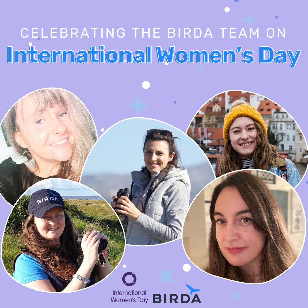 To celebrate International Women's Day, we'd like to showcase the women at Birda. With their brilliant ideas and love for birds and nature, they have helped make Birda into the app it is today. Thank you Natalie, Aleksandra, Emily, Silvia and Sarah! #internationalwomensday #birda
