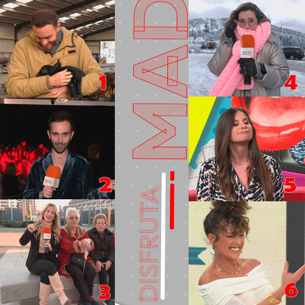🤩¡Ya es sábado! ¿Cuál de nuestros reporteros sois hoy? ¡Contadnos! 👀#DisfrutaMadridTM. 

#DisfrutaMadridTM de lunes a viernes por la tarde 
📲  Toda la información en la web ▶telemadrid.es/programas/disf…