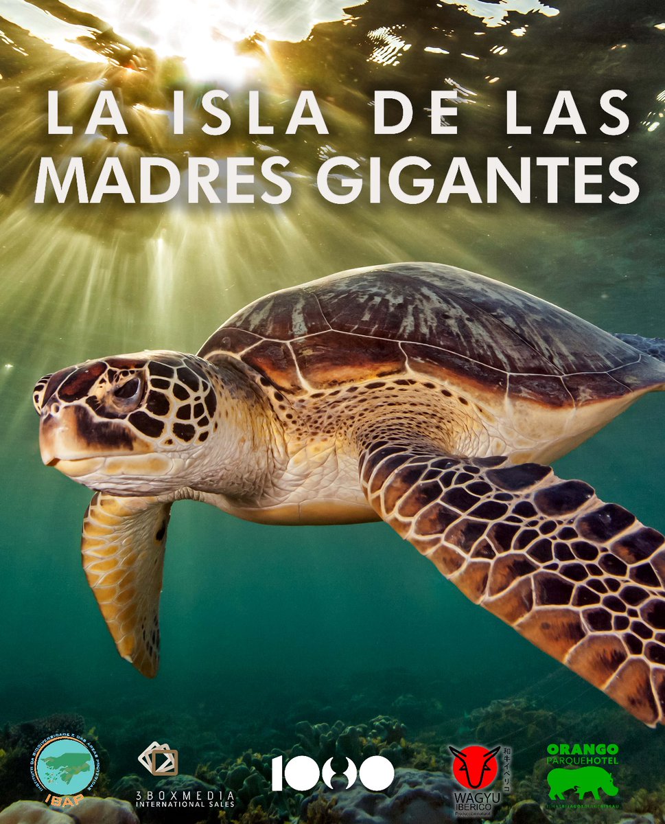 1080 Wildlife tweet media