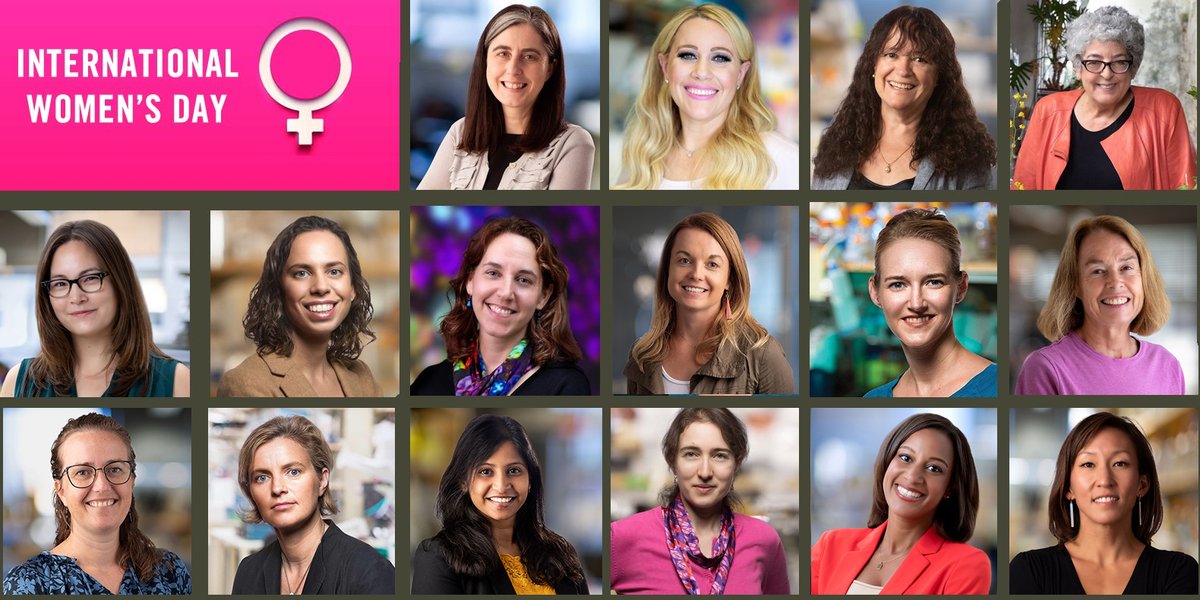 Celebrating #InternationalWomensDay with a salute to the 16 trailblazers at the Salk Institute! 🌟 These women are not just running labs; they're driving forward groundbreaking discoveries. Cheers to their enduring impact in STEM! 💪🔬#WomenInSTEM salk.edu/womenandscience