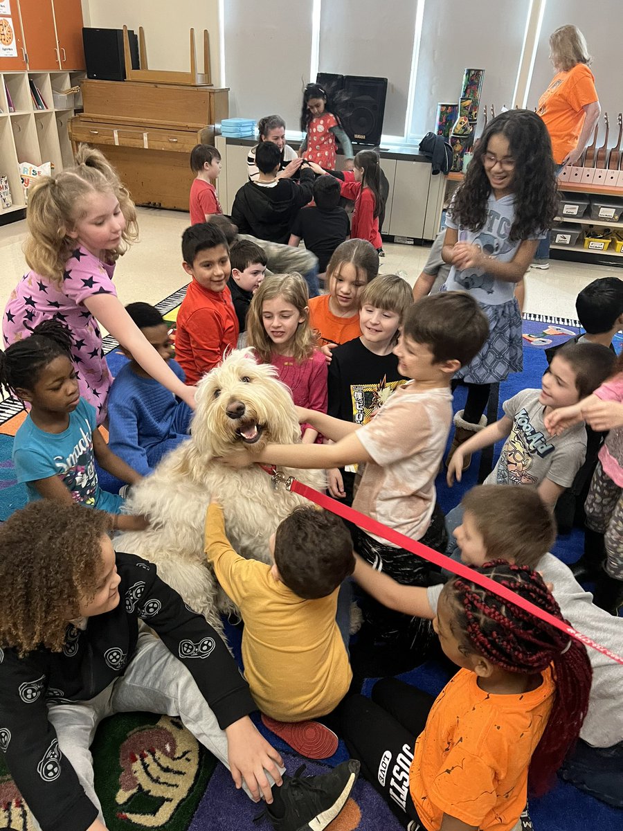 Halie Carden tweet media