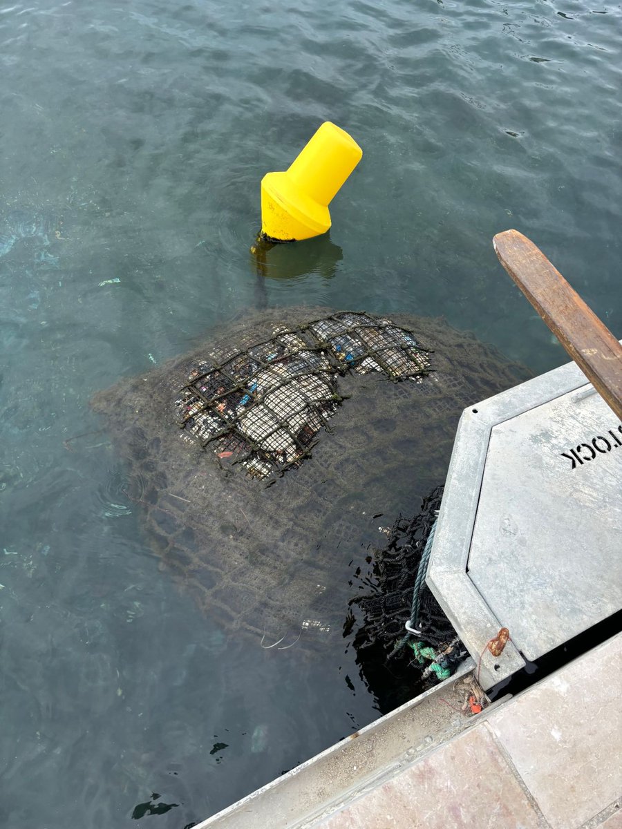 Pollustock tweet media