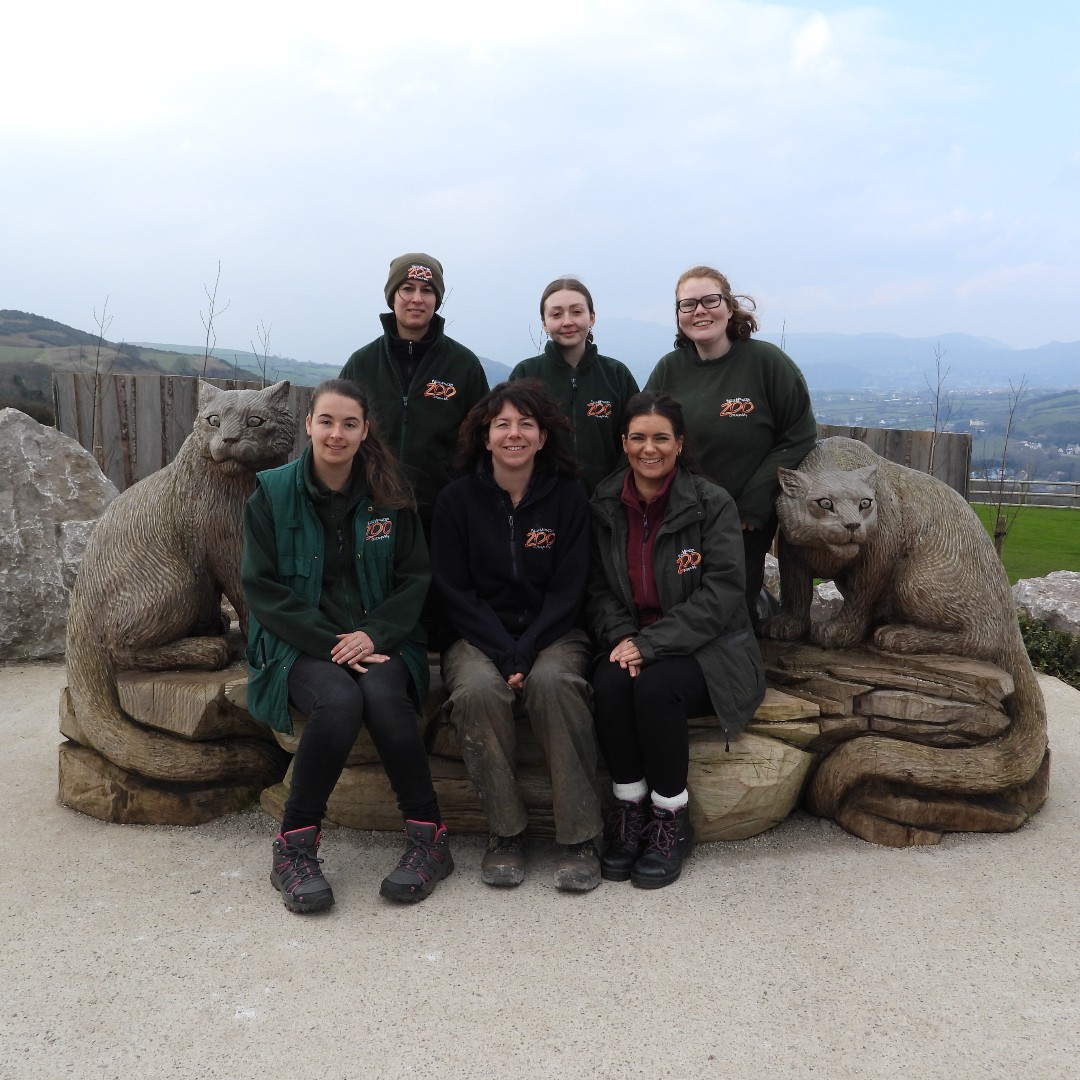 Today we celebrate #InternationalWomensDay The #WelshMountainZoo would not be what it is today without the hard work of today’s team, back to founding partner, Margaret Jackson, and all who have been present between! #SupportingConservation #NationalZooOfWales #NorthWales