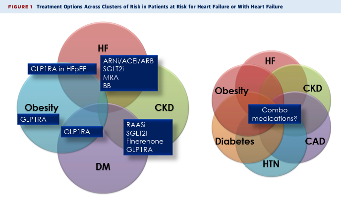 Treatment of Clusters of Risks to Prevent Heart Failure jacc.org/doi/10.1016/j.… @JACCJournals #JACCHF @JavedButler1 @MkosiborodMD @lamcardio @gcfmd @docbhardwaj