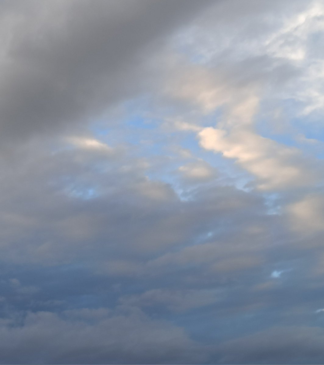 آفنري ✨ tweet media