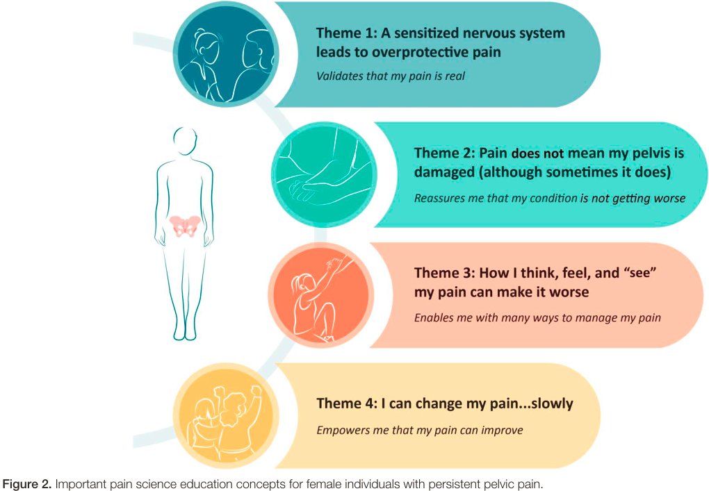 “I wish I knew then what I know now” - pain science education concepts important for female persistent pelvic pain: a reflexive thematic analysis pubmed.ncbi.nlm.nih.gov/38452219/