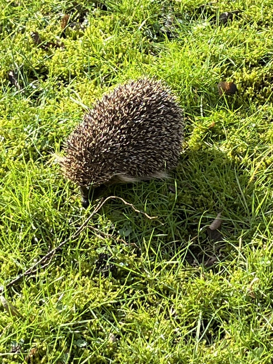 Lorna Clare tweet media