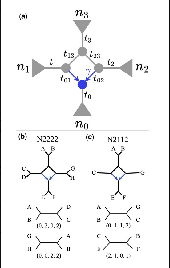 BioinfoAdv's tweet image. 🧬 Reimagining phylogenetic networks: Our algebraic method bypasses heuristic searches, offering speed 10x faster. Embracing gene flow complexities, it unveils new vistas in evolutionary biology. #Phylogenetics #Evolution #GeneFlow doi.org/10.1093/bioadv… 📷  
@solislemuslab