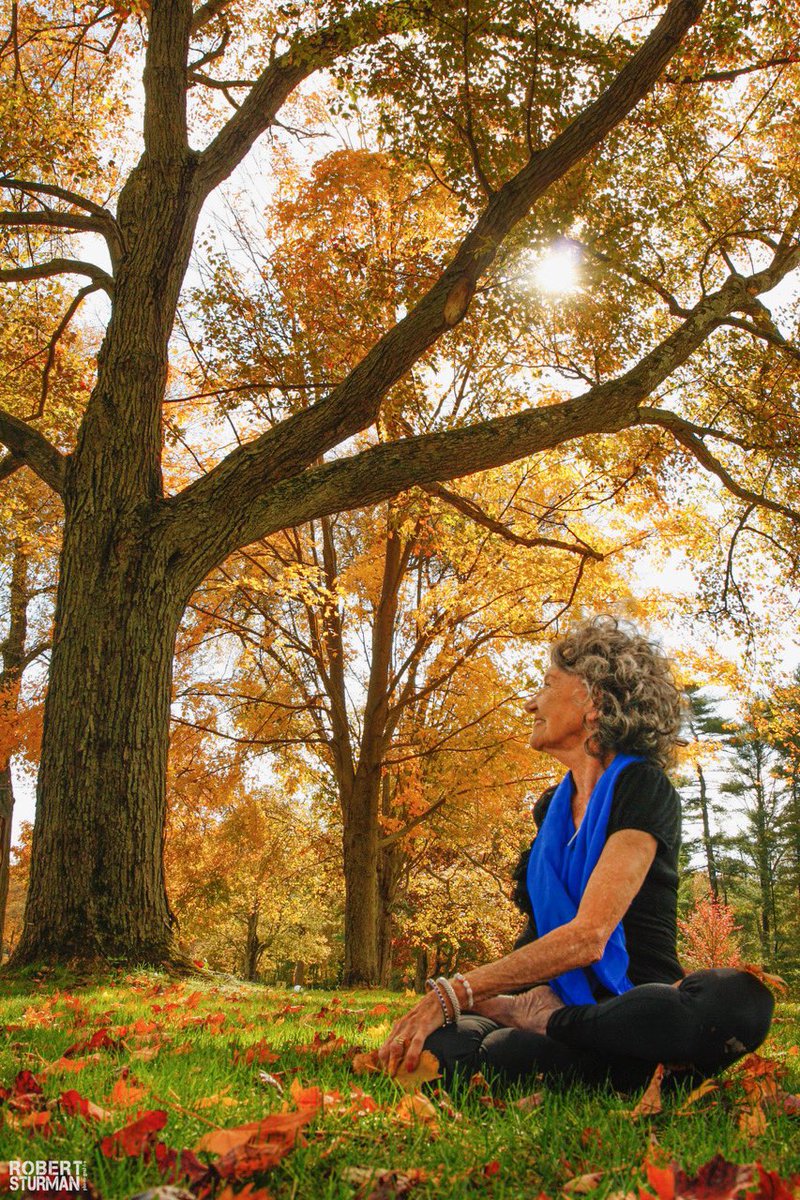 Robert Sturman tweet media