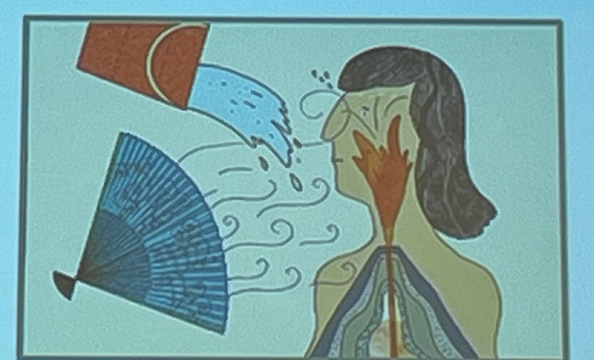 Focus on science of the menopausal journey is the topic @WomensResearch symposium #whrisym24 and ways to get information out to people like mymenoplan.org. Amazing speakers and programming.