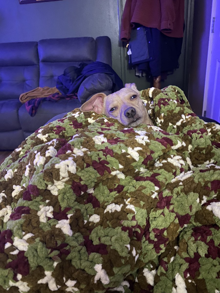 maybmady's tweet image. Tony’s getting fixed today. I started him on his meds last night. 

His reaction: