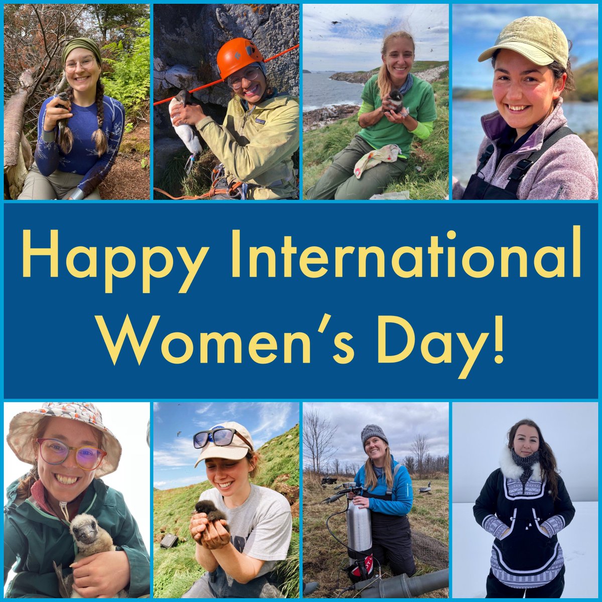 Happy #InternationalWomensDay2024

To all the #WomenInSeabirdScience out there, you’re amazing! Thank you for all you do to inspire and uplift others.