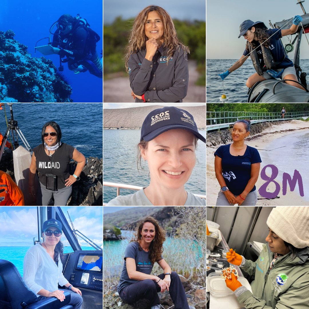 Hoy reconocemos a todas las #mujeres que trabajan por la #conservación #marina del #planeta. Las mujeres son fundamentales en la protección de nuestra #naturaleza y #biodiversidad. En el #DiaDeLaMujer, agradecemos su contribución a la conservación. #8M2024  #8marzo2024