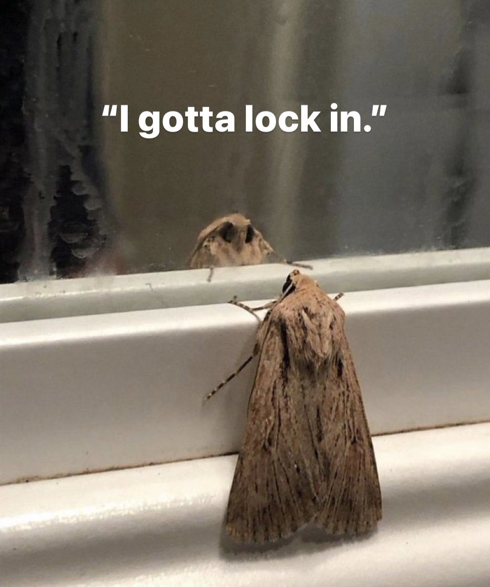 Lady Dan (@tytydozier) on Twitter photo 