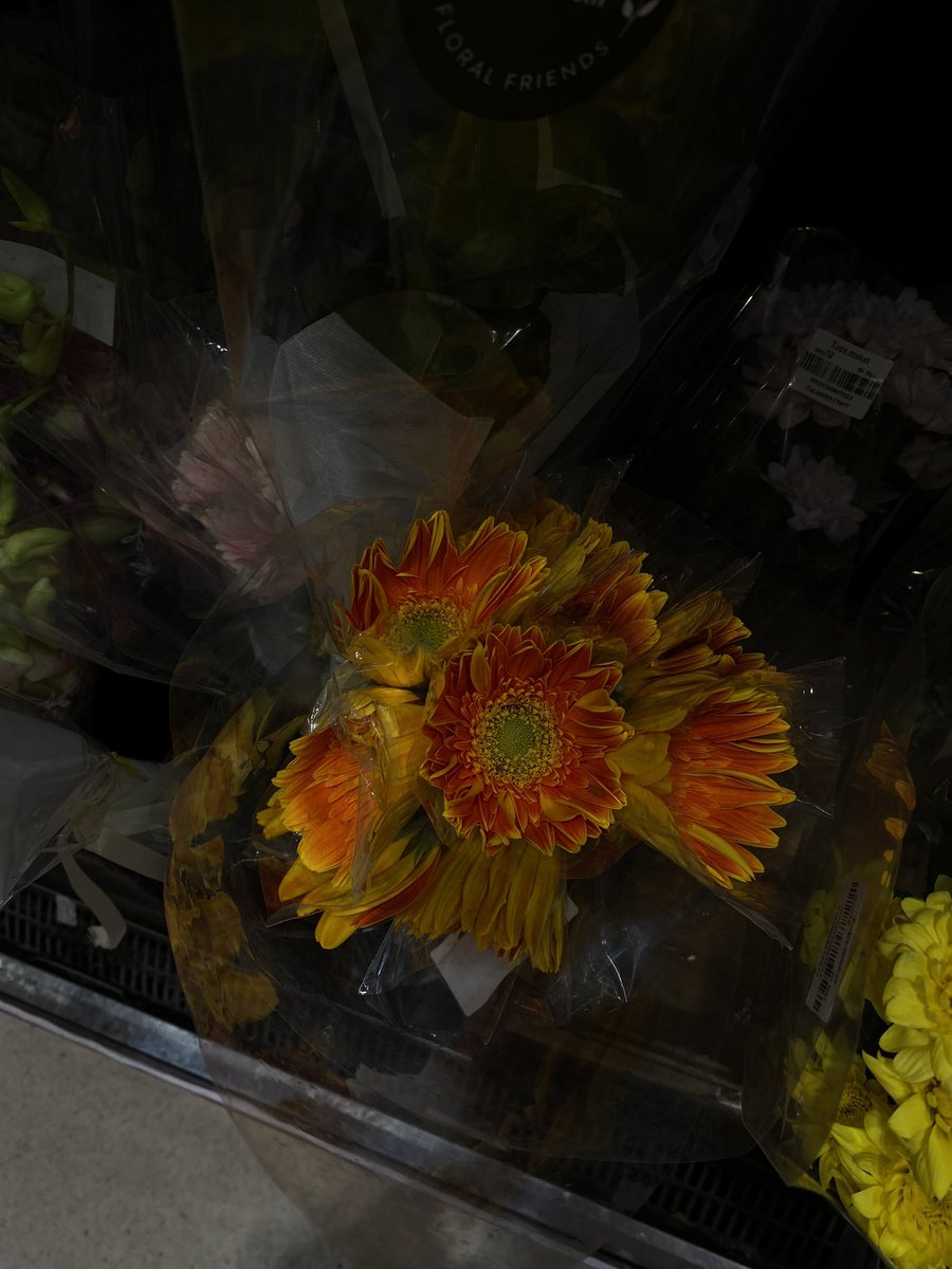 Tyler (@fallen4ngle) on Twitter photo 