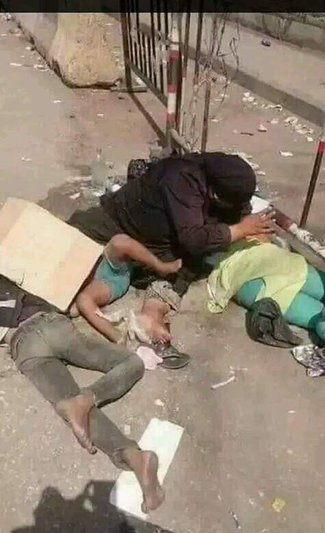 المرأة التي تنام في العراء هي وابنائها . وحدها تكفي بأن تخرجنا من قاموس الرجولة.

#يوم_المراه_العالمي

الصورة في اليمن 🇾🇪
وليست في فلسطين 🇵🇸