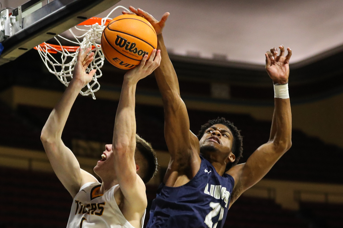 MSH Visual tweet media