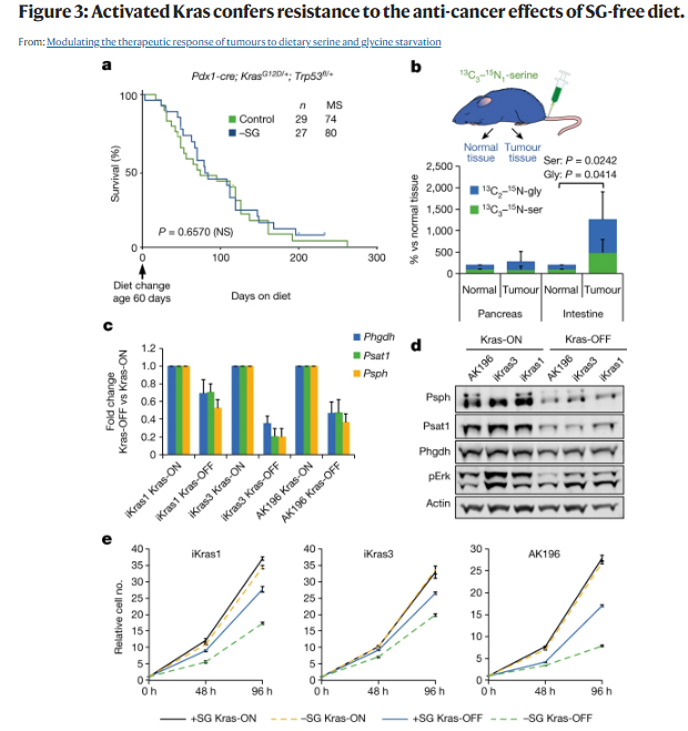 Jun Gong (@jgong15) on Twitter photo Highlighting seminal work from #KOL speakers at the 5th Annual <a href="/CSCancerCenter/">Cancer at Cedars-Sinai</a> GI Tumor Conf:
Dr. Oliver Maddocks: #aminoacid restriction as a novel #PDAC therapeutic strategy
pubmed.ncbi.nlm.nih.gov/28425994/
Mar 23, 2024. Register at cedars.cloud-cme.com/course/courseo…
<a href="/OncoAlert/">OncoAlert</a> <a href="/CMECedarsSinai/">CME Program at Cedars-Sinai</a> Highlighting seminal work from #KOL speakers at the 5th Annual <a href="/CSCancerCenter/">Cancer at Cedars-Sinai</a> GI Tumor Conf:
Dr. Oliver Maddocks: #aminoacid restriction as a novel #PDAC therapeutic strategy
pubmed.ncbi.nlm.nih.gov/28425994/
Mar 23, 2024. Register at cedars.cloud-cme.com/course/courseo…
<a href="/OncoAlert/">OncoAlert</a> <a href="/CMECedarsSinai/">CME Program at Cedars-Sinai</a>