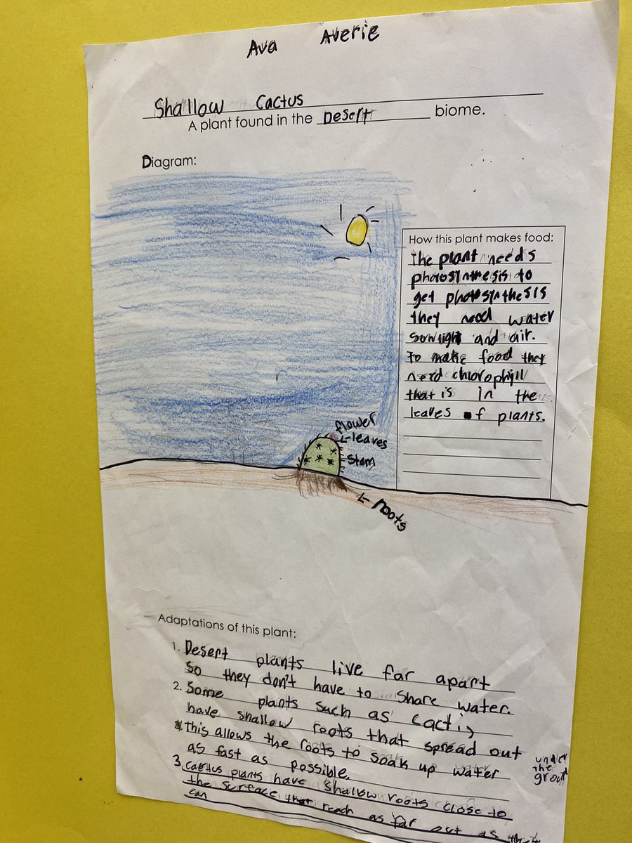 Andrea LaPointe tweet media