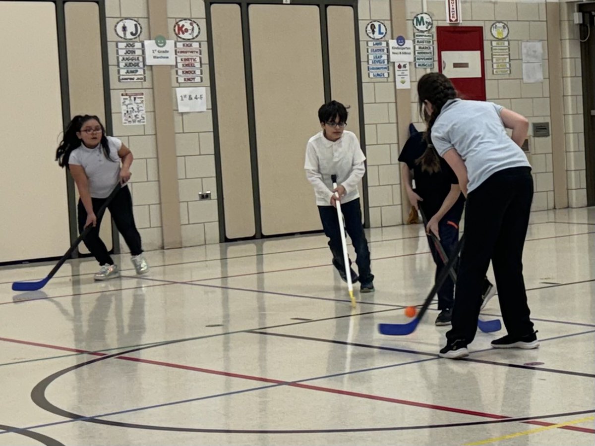 b_physical's tweet image. PE week in review… this week we finished pillow-polo and floor hockey units.  Students had a fun time playing in games and working on teamwork. Next week our primary students will have fun with the parachute and our intermediate students will play some WhirlyBall.