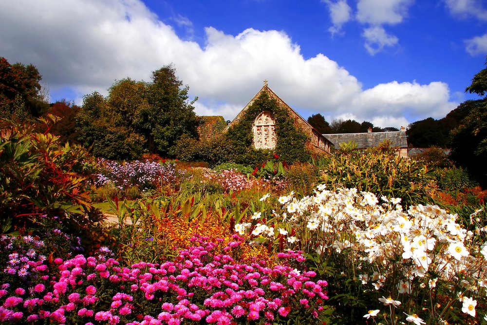 Spring Gardens at the Church, Cornwall, England, Thomas Marek!❤️🏴󠁧󠁢󠁥󠁮󠁧󠁿