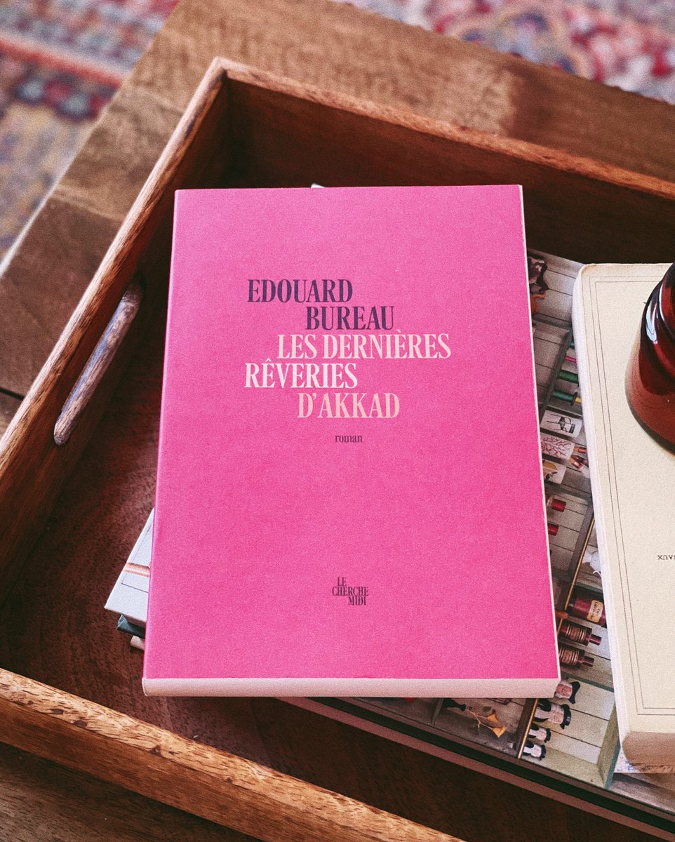 📖 Roman initiatique, tantôt conte intime, tantôt fable, « Les Dernières Rêveries d'Akkad » aborde avec poésie et profondeur les questions intimes et immémoriales : l'ambition, le pouvoir, la transmission, la solitude, la poursuite du bonheur...
