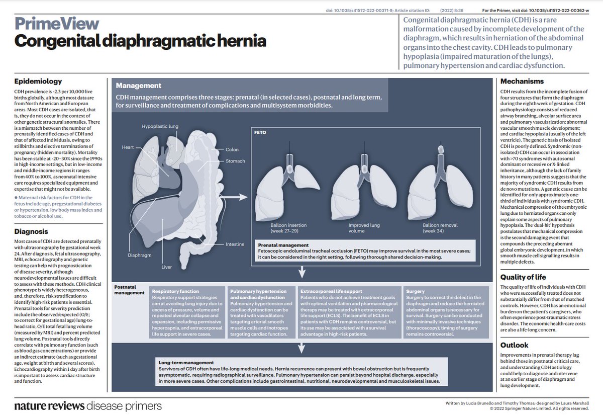 Congenital diaphragmatic #hernia is a rare malformation caused by incomplete development of the diaphragm, which results in herniation of the abdominal organs into the chest cavity go.nature.com/38FwYDk