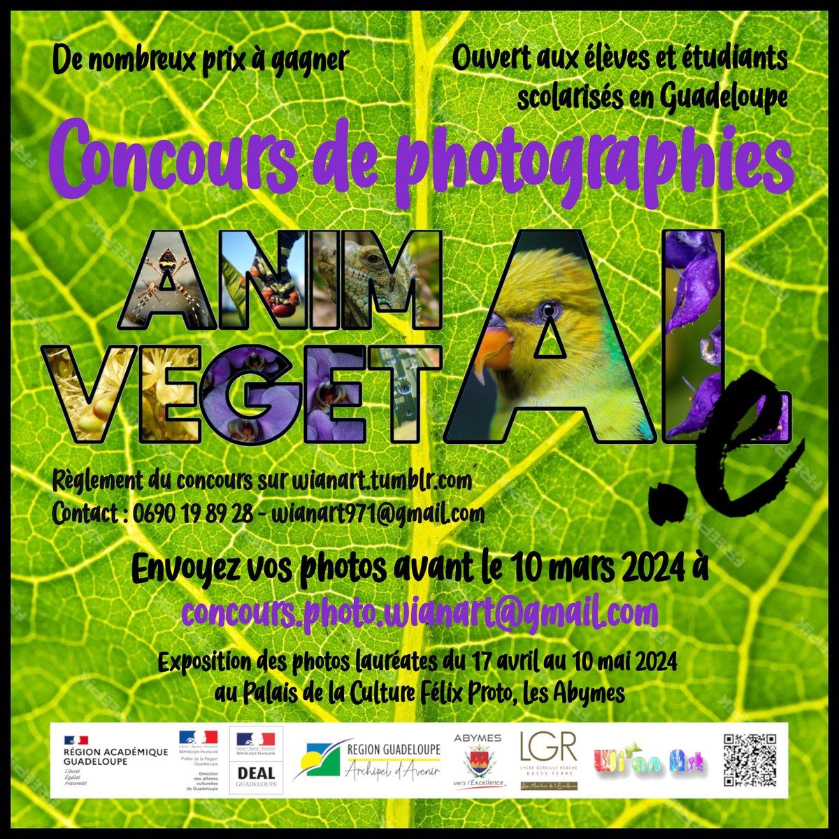 Le @LyceeReache et l'association Wi'anArt organisent la 7e édition du concours de photographie sur le thème ANIMAL(E) / VEGETAL(E) Les photos lauréates seront exposées au Palais de la Culture Félix Proto des Abymes du 17 avril au 10 mai ATTENTION, dernières heures pour participer