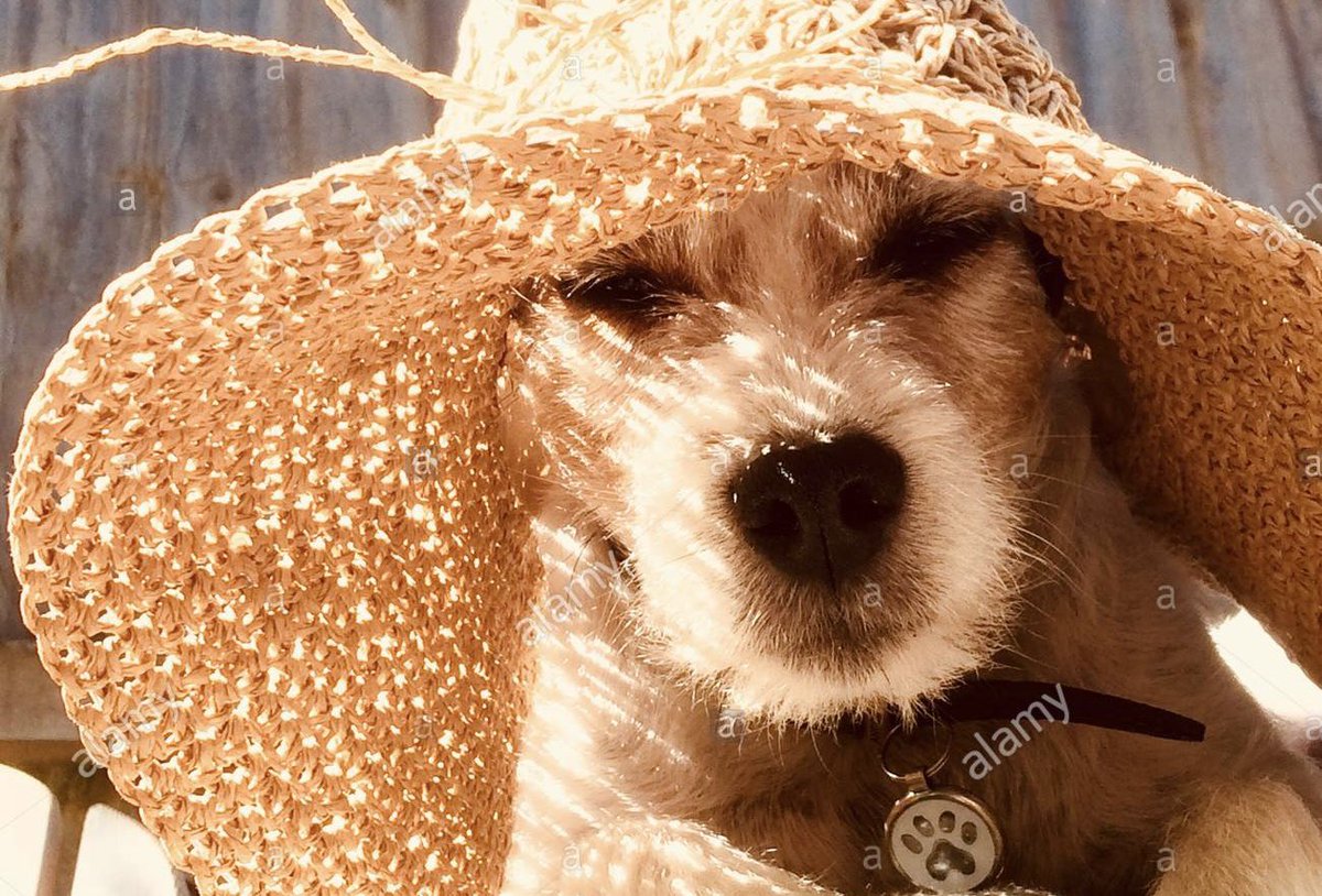 swagless and unemployable