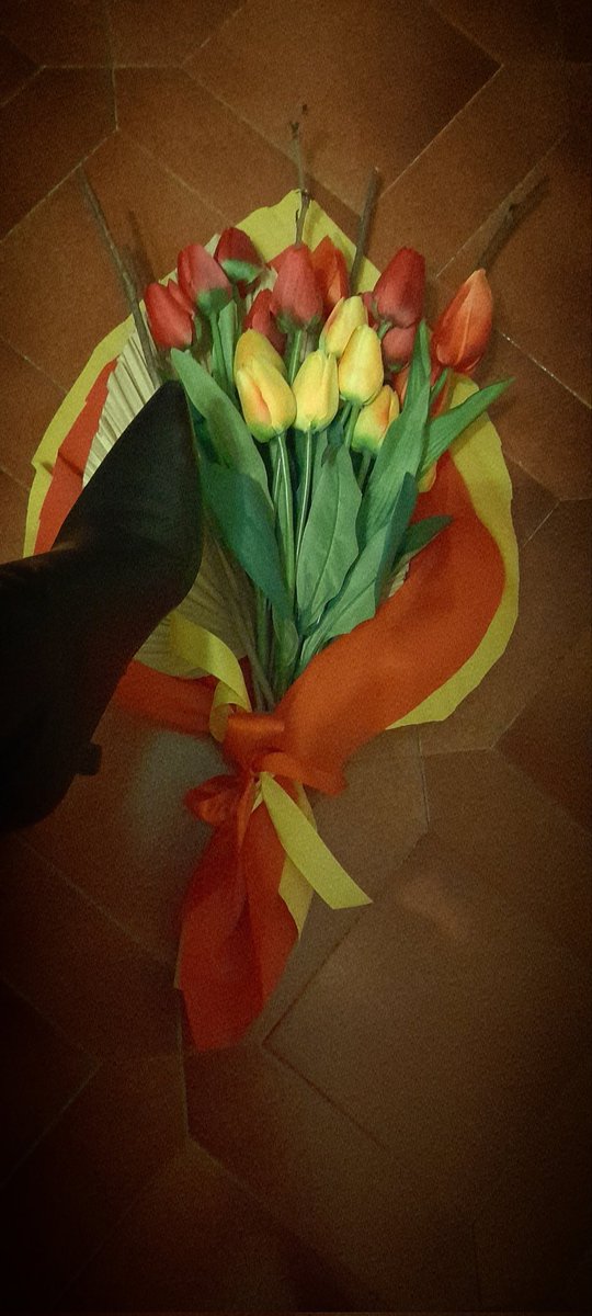 Caro fan segreto che sai che amo i tulipani ... che ne diresti di rivelarti? Va bene essere timido e anonimo  ma così si sta esagerando. Oltretutto un po' di ansietta mi sale. Cmq grazie, sono bellissimi ma la prossima volta lo mettiamo un biglietto?
#cirisiamo
#semprelui
#mah