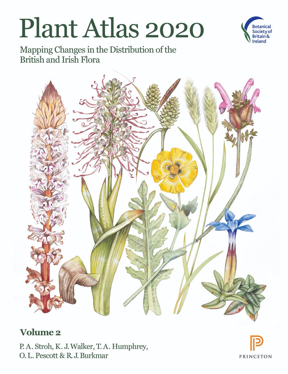 BSBI: Botanical Society of Britain & Ireland (@bsbibotany) on Twitter photo A year ago today we launched #PlantAtlas2020: the most in-depth survey ever undertaken of the British & Irish flora.
Website free to browse for info on 3,495 wild plant species: plantatlas2020.org
Book published by <a href="/PrincetonNature/">Princeton Nature</a>
Find out more: bsbi.org/plant-atlas-20… A year ago today we launched #PlantAtlas2020: the most in-depth survey ever undertaken of the British & Irish flora.
Website free to browse for info on 3,495 wild plant species: plantatlas2020.org
Book published by <a href="/PrincetonNature/">Princeton Nature</a>
Find out more: bsbi.org/plant-atlas-20…