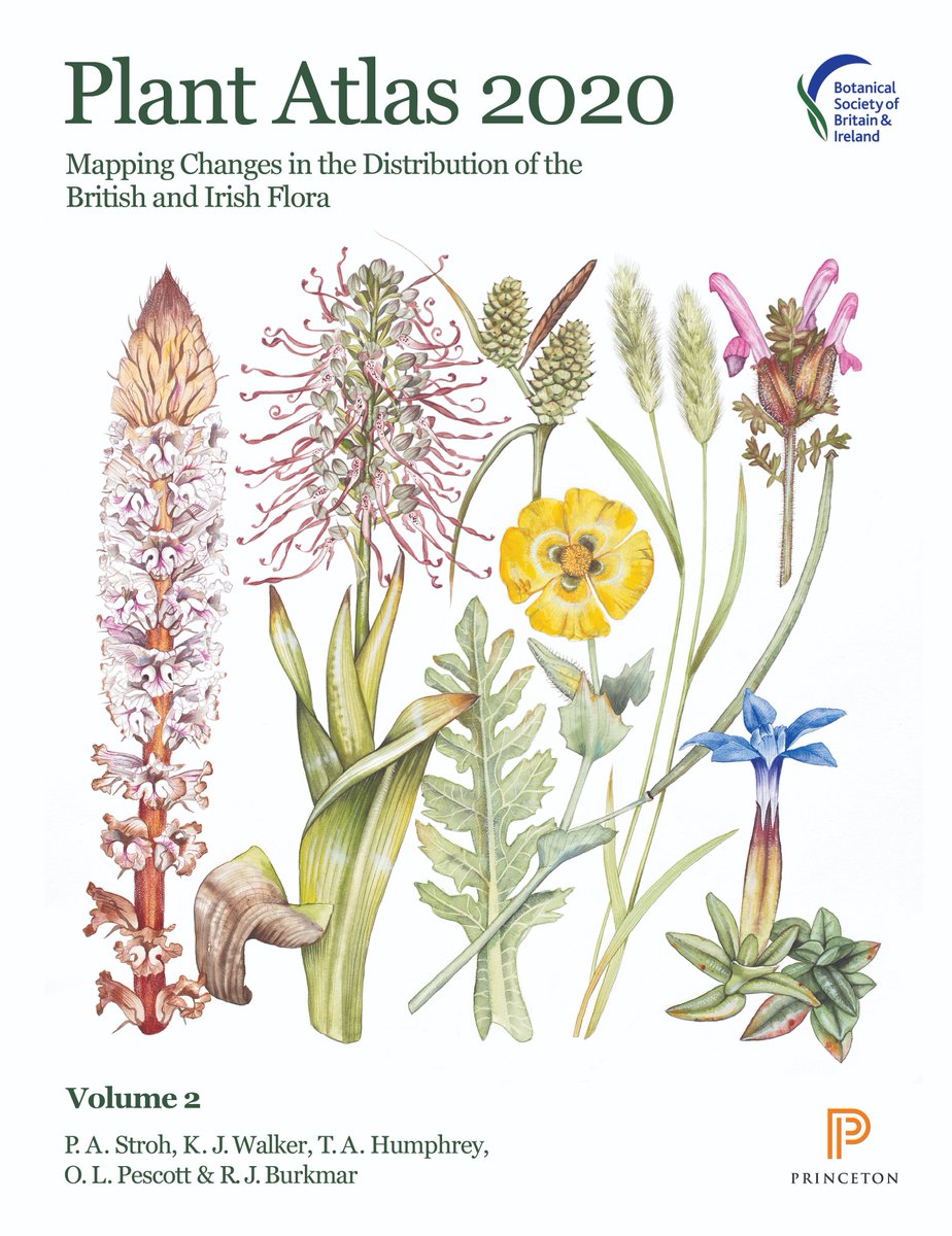 A year ago today we launched #PlantAtlas2020: the most in-depth survey ever undertaken of the British & Irish flora. Website free to browse for info on 3,495 wild plant species: plantatlas2020.org Book published by @PrincetonNature Find out more: bsbi.org/plant-atlas-20…