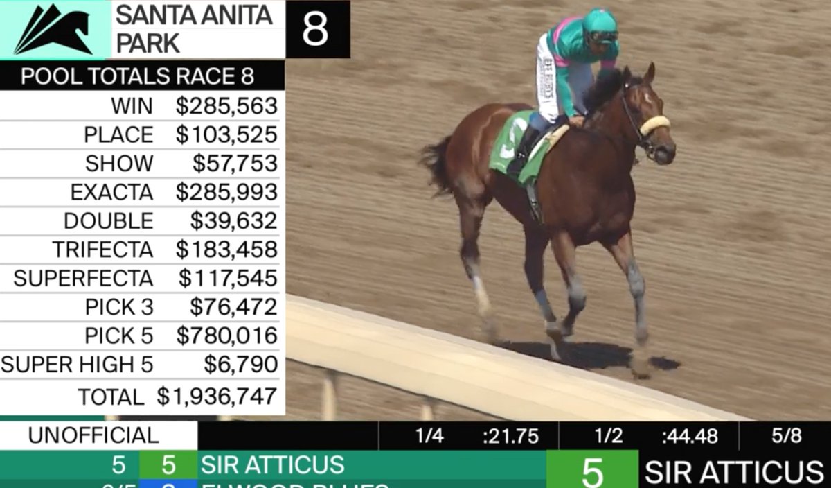 GambleOnHumans's tweet photo. ANOTHER DEAD HORSE AT @santaanitapark.
@killhorseracing #horseracing @hisa_us @HIWUNews #XBTV #1stbet
RIP SIR ATTICUS
https://t.co/VItPAk2dJy https://t.co/I9DwCJVnk6