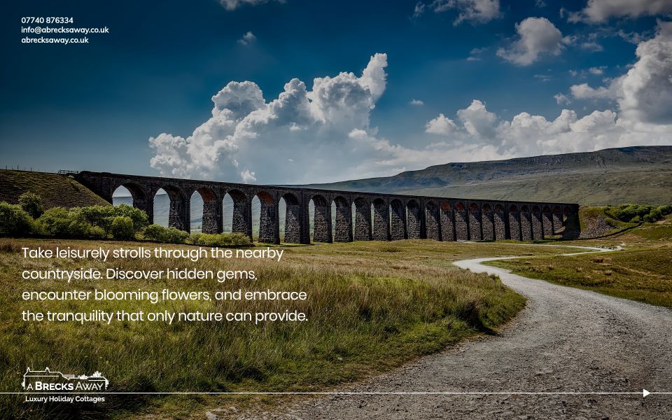 abrecksaway's tweet image. Enjoy a stay that combines the thrill of biking, the charm of the countryside and the allure of the coast. A Brecks Away is your gateway to an idyllic escape from the hustle and bustle. Book online or contact us directly for the best prices. #SpringGetaway #AdventureAwaits