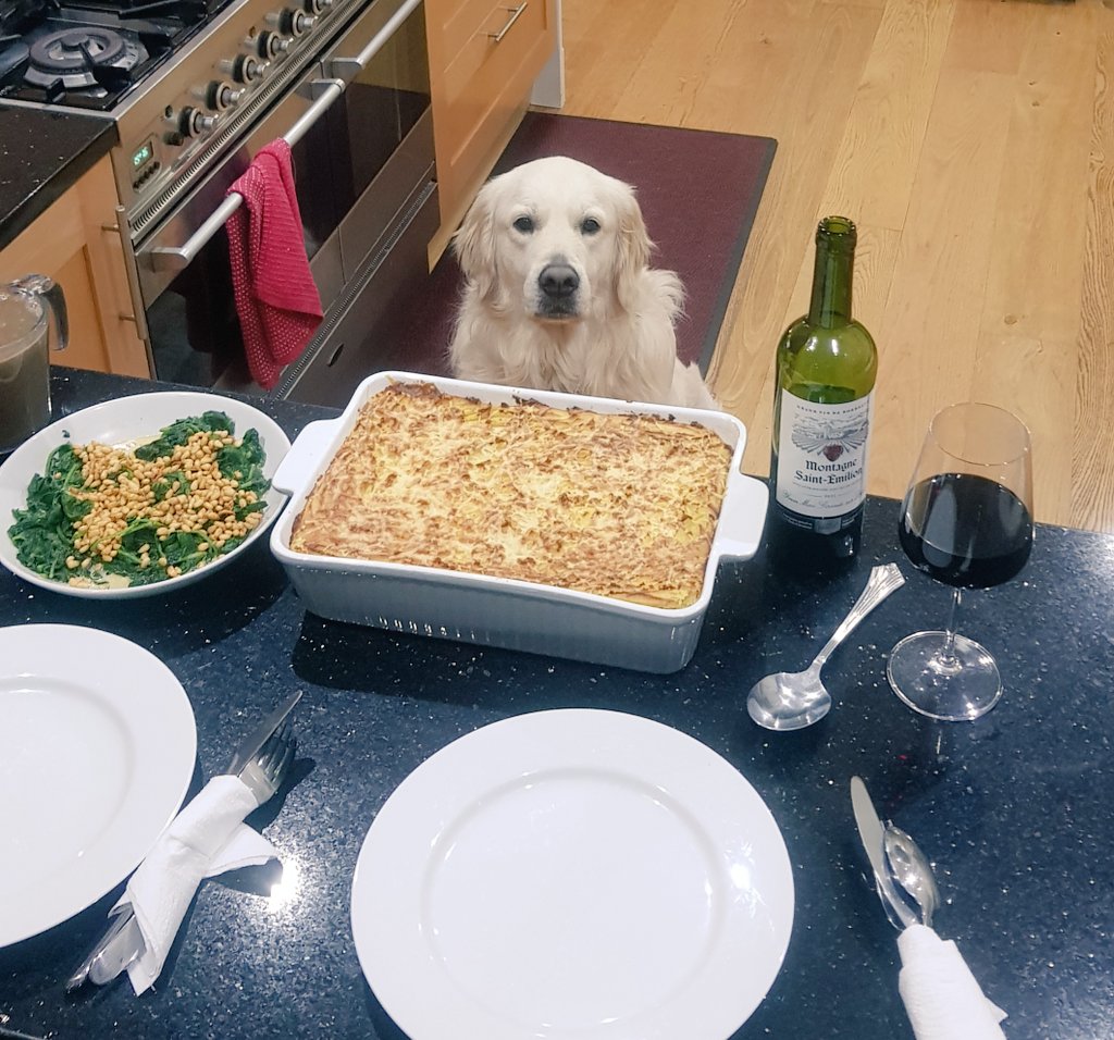 Mrs @SuzannahNichol is home for dinner so I've knocked up a simple shepherd's pie accompanied by creamed spinach & toasted pine nuts. A few Stella while cheffing & a delightful Bordeaux while chomping. @Ralph_Retriever ever hopeful.