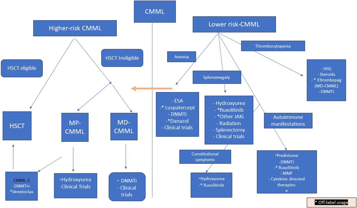 Chronic myelomonocytic leukemia: 2024 update on diagnosis, risk stratification and management |American Journal of Hematology | Blood Research Journal | Wiley Online Library onlinelibrary.wiley.com/doi/full/10.10… #CMML