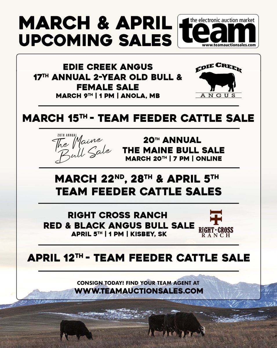 Upcoming TEAM Feeder Cattle &amp; Bull Sales! Contact your local TEAM agent to consign - teamauctionsales.com/s_agents.aspx

March 8th Results - teamauctionsales.com/TEAM-Feeder-Ca…

March 1st Results - teamauctionsales.com/TEAM-Feeder-Ca…