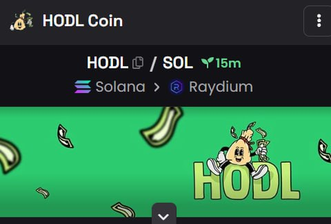 Hold On for Dear Life - $HODL tweet media