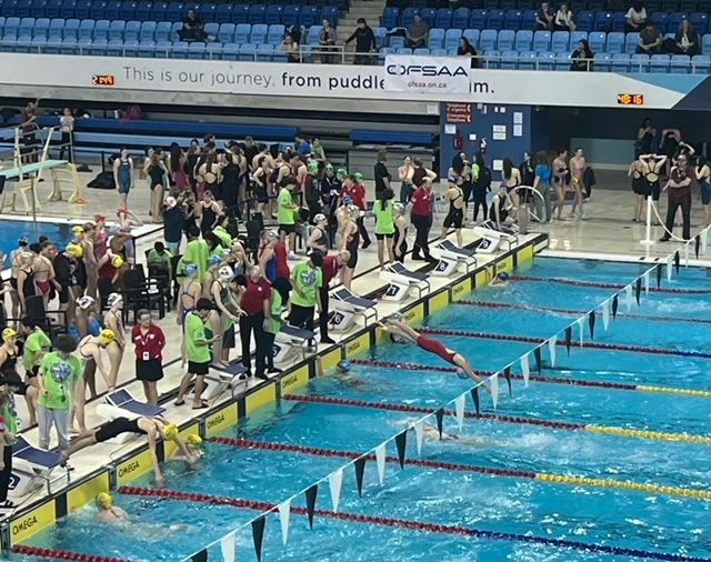 Christ The King SS tweet media